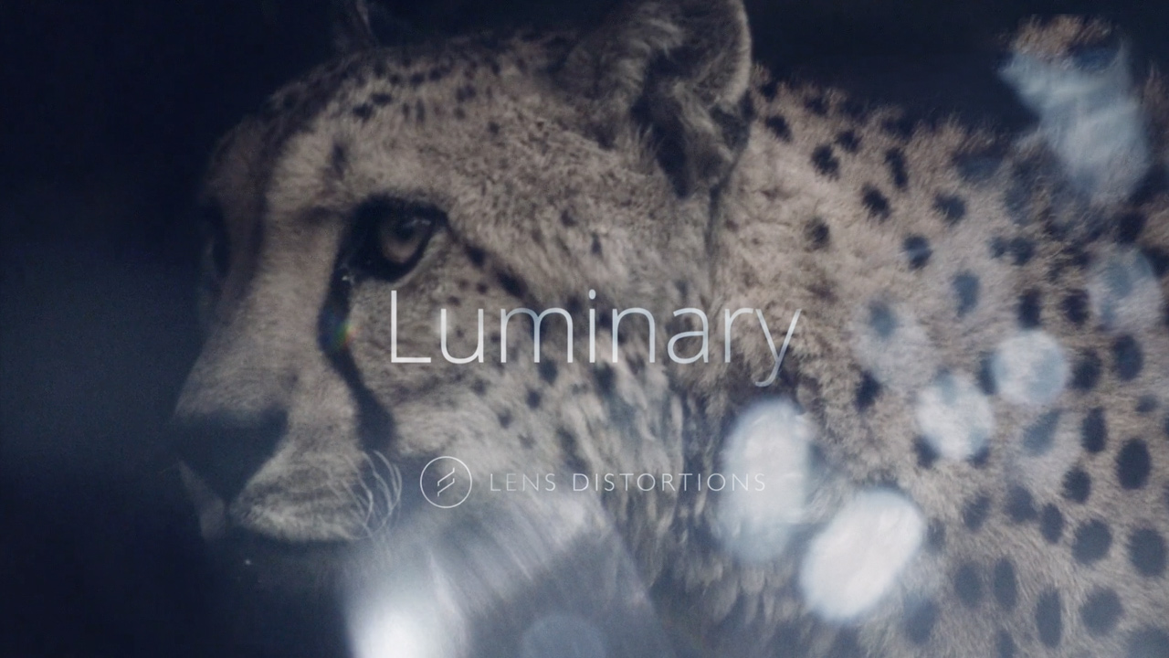 Verschuiving Sjah Voorspeller Luminary 4K | Lens Distortions – Free Download-Le-shu